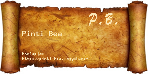 Pinti Bea névjegykártya